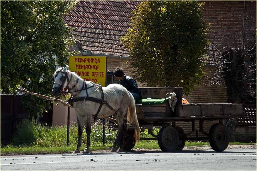 Devizno tržište u NM ...