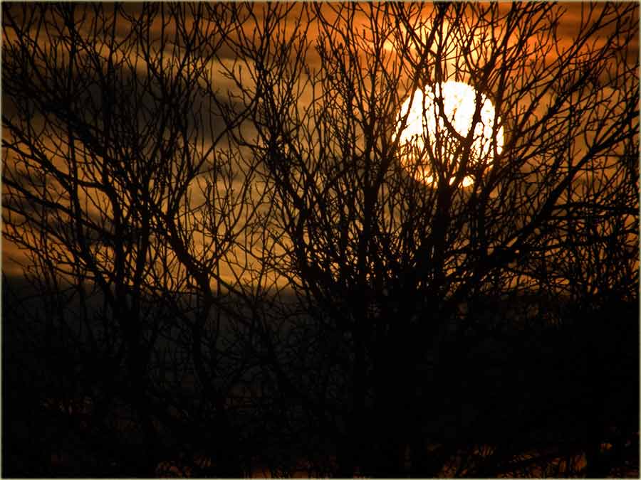 Di je najveće Cunce na Svetu ?!?