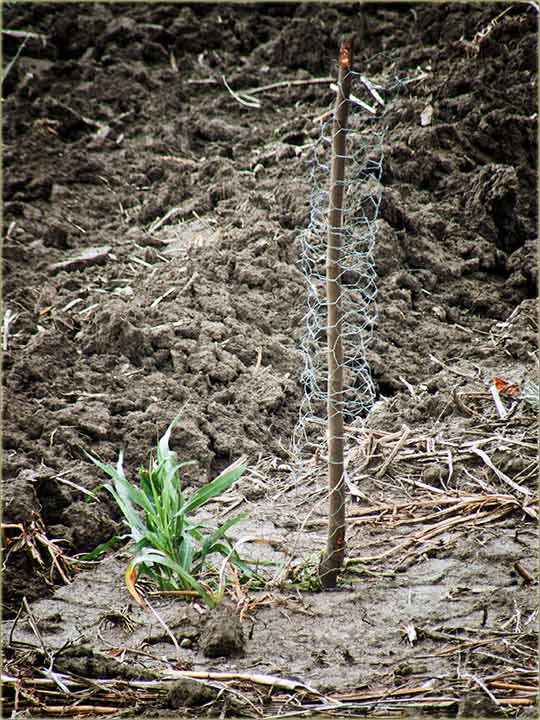Odbrana i zaštita ...