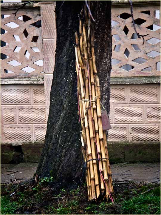 Ogrizine na prodaju !!!