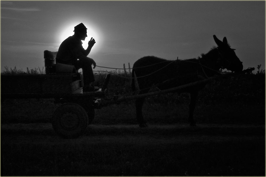 Na letnju mesečinu...