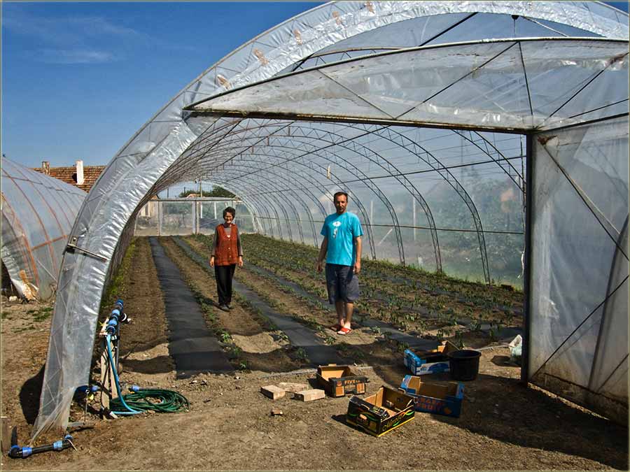 Šta nam radidu povrtlari ?