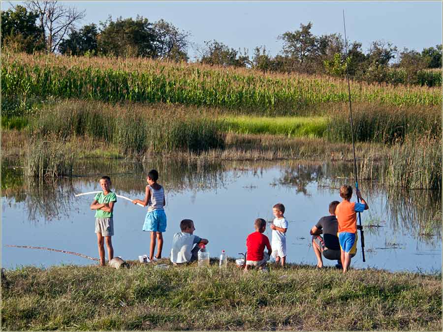Ríba svugdi okolo sela ...