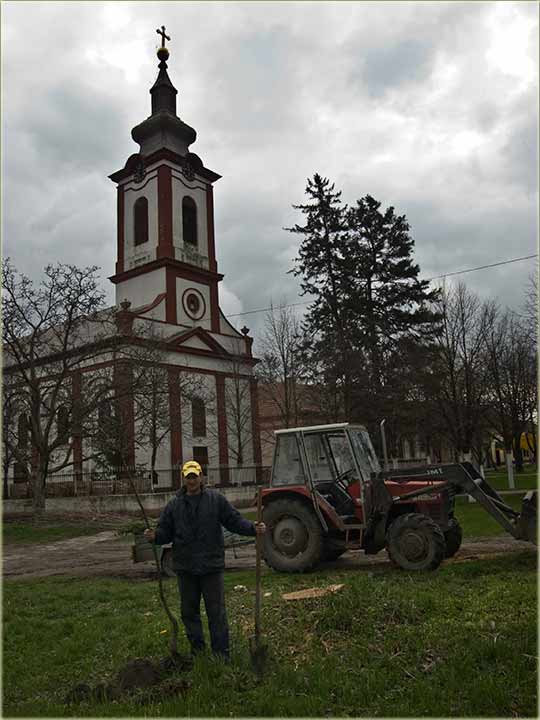 Sadnja drveća !!!