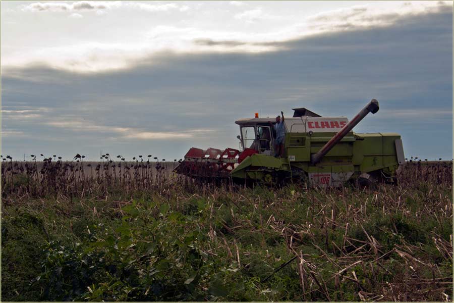 Radi se cuncukret ...