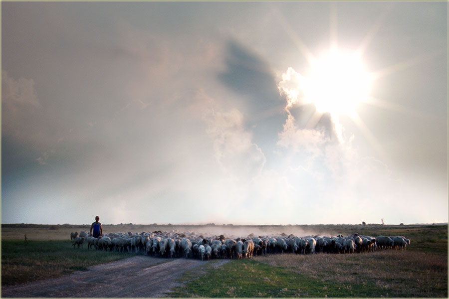 Uoči Svetog Ilije ...