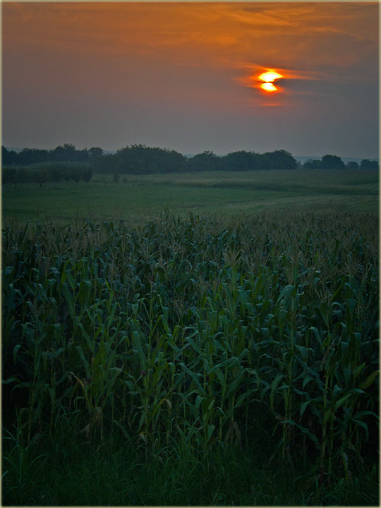 Avgustovska pridVečerja uAtar ...