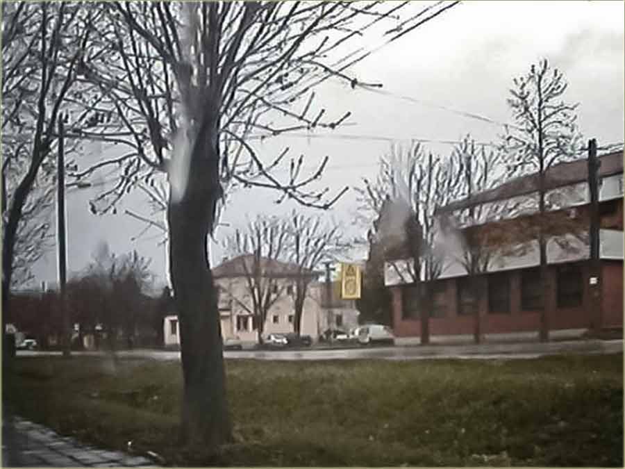 Još edno doVikivanje na sokak ...