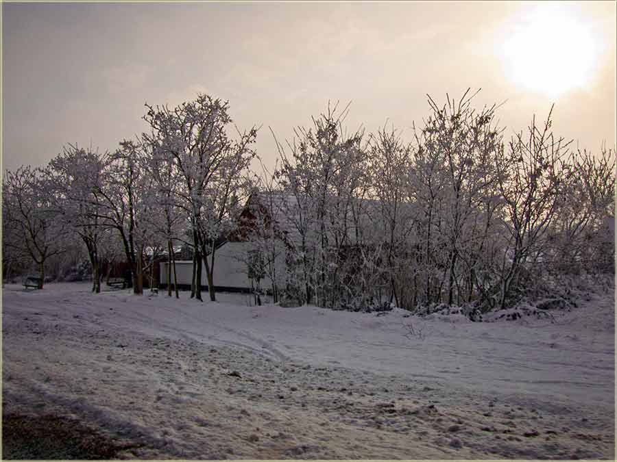 Badnji dan i veče - nekad...