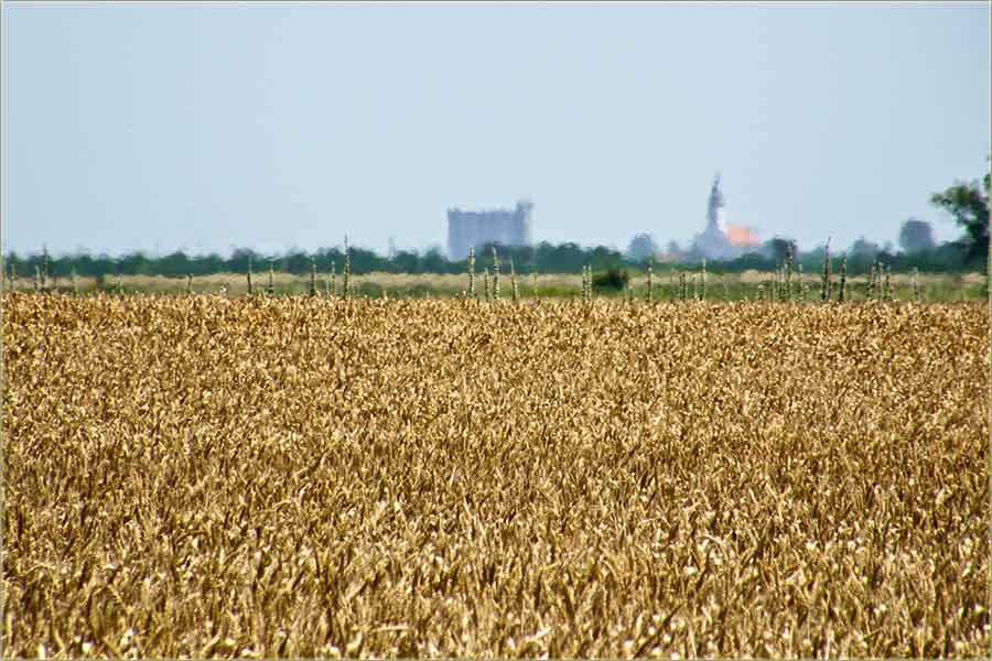 NeIznoste svo ito na silos, doneste i kui !!!