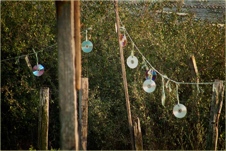 Odbrana vinograda II ...