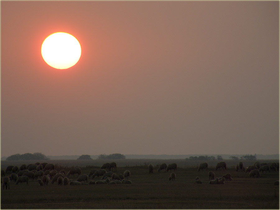 Foto roman, zalastka Cunca...