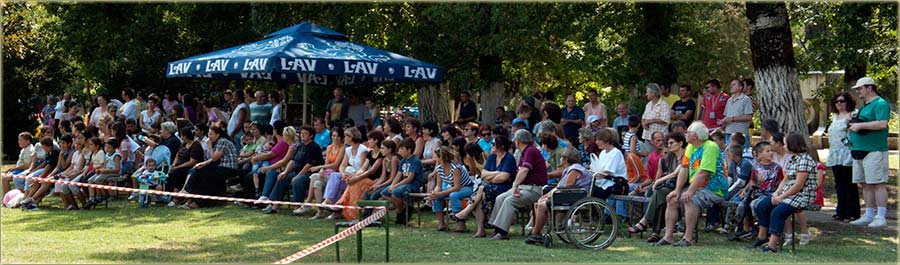 Osma Gibanicijada III ...