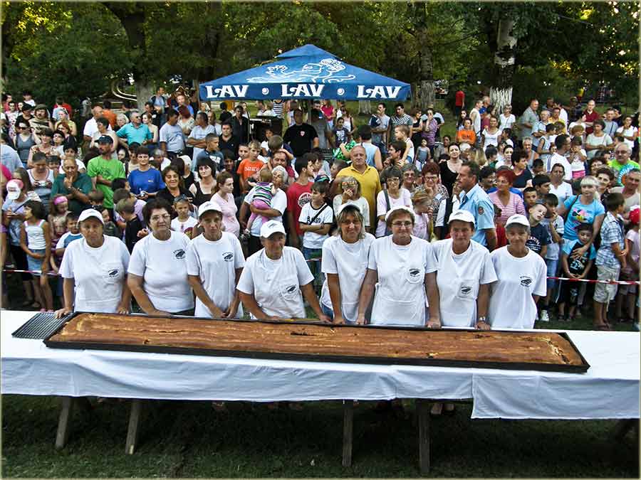 Osma Gibanicijada V ...