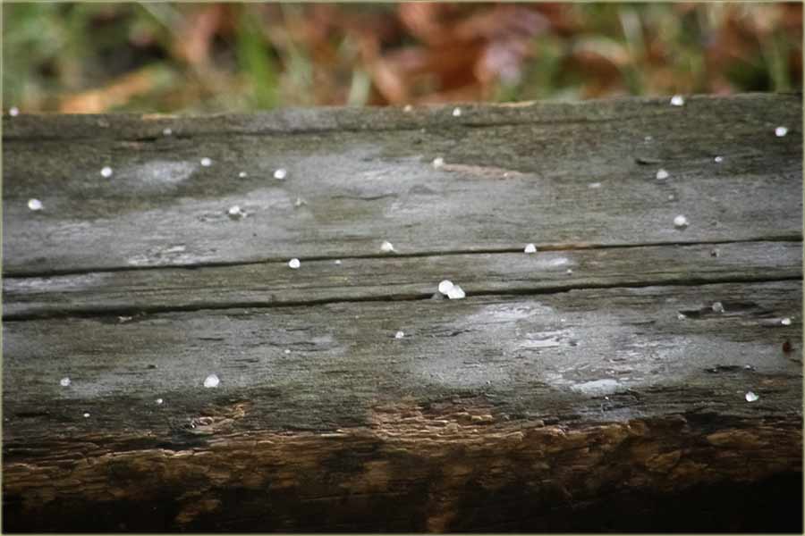 Samo da nâs, slučajno ne promaši !?!