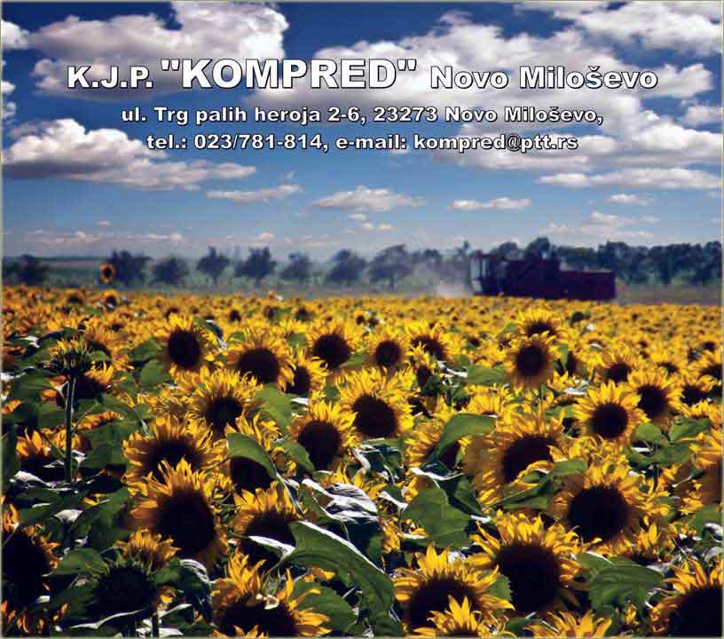 Srećna Nova 2012-ta !!!