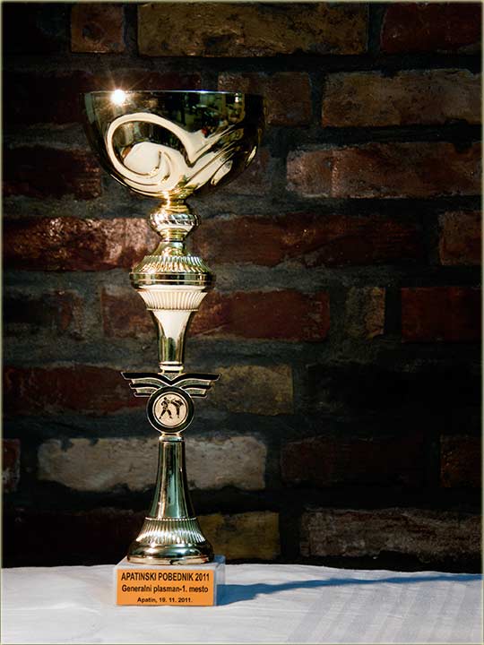 Uspeh naši karatista u Apatin !!!