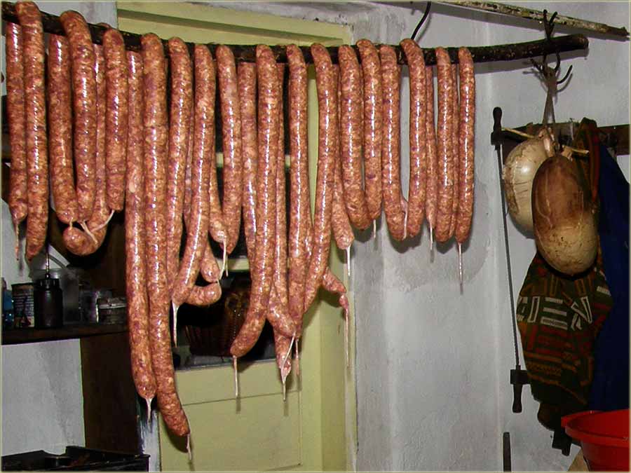 Kobajsice belouške...