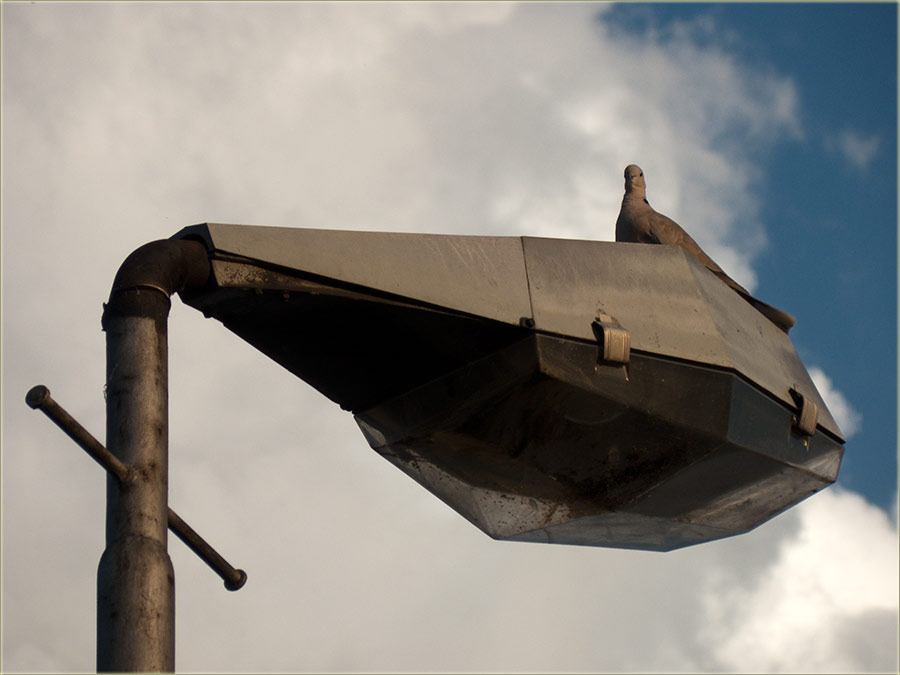 Eee..., što sad nisam kumrija ?!?