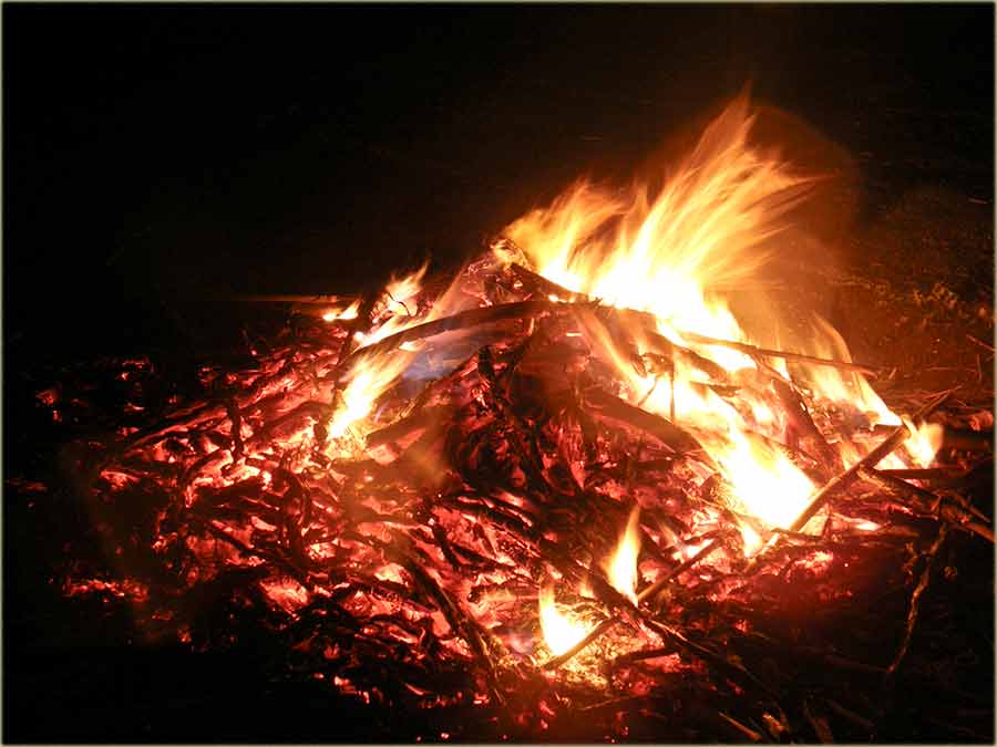 Lazaríca 2011-te...