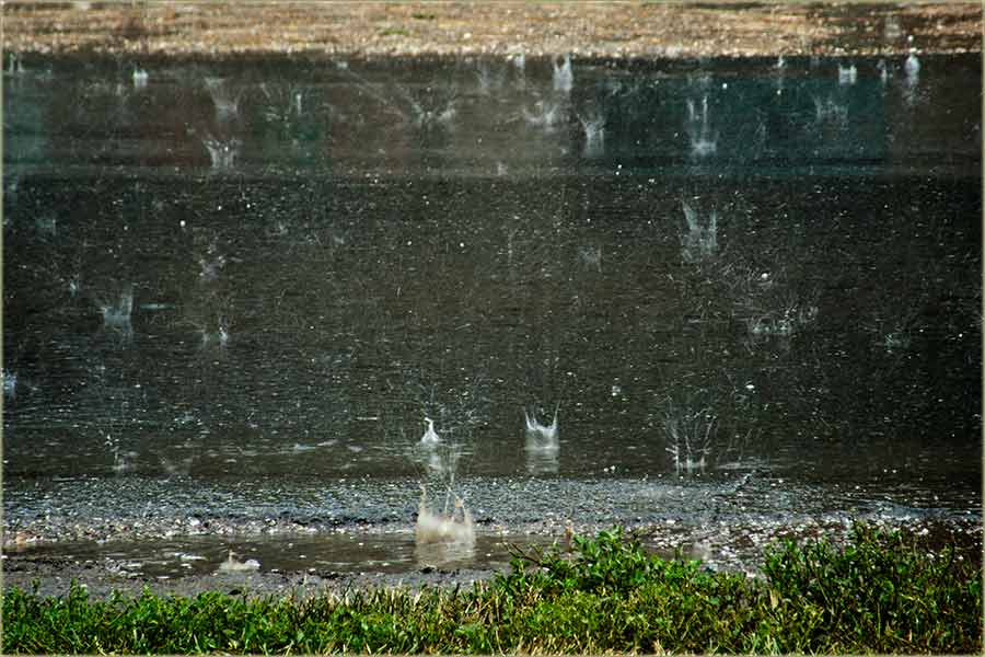 Letnjo osveženje ...