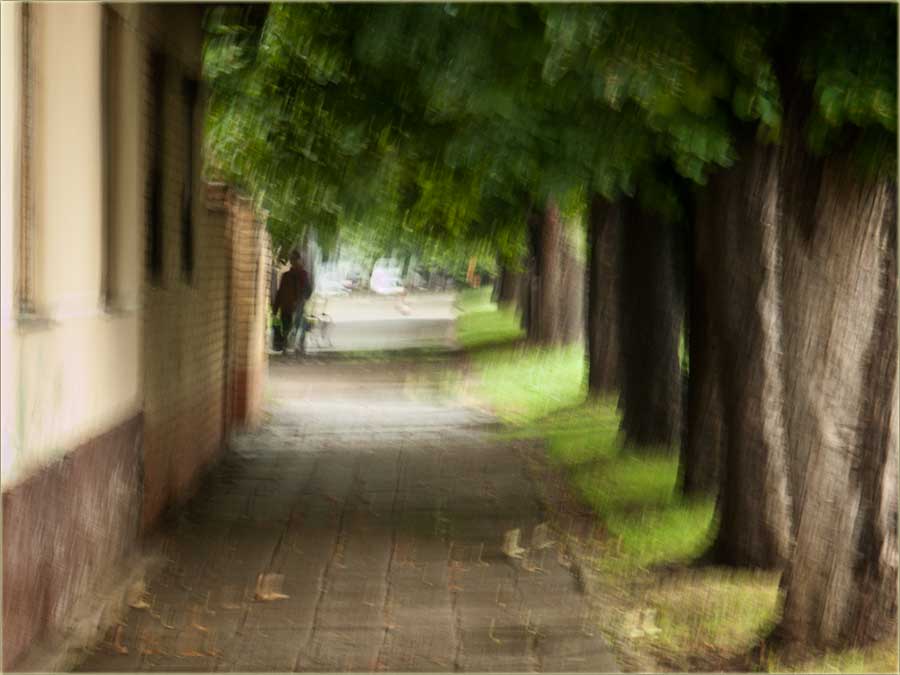 Kad ljuljne letnji pljusak !!!