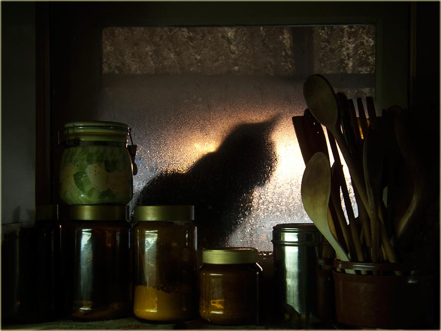 Mačiji mesec, 2011-te ...