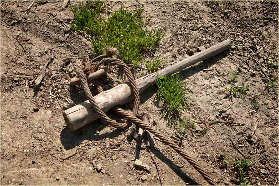 Nema više molske skele naTisu...