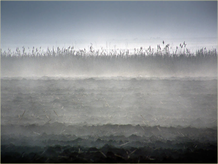 Banatcka, sNiska oblačnost...