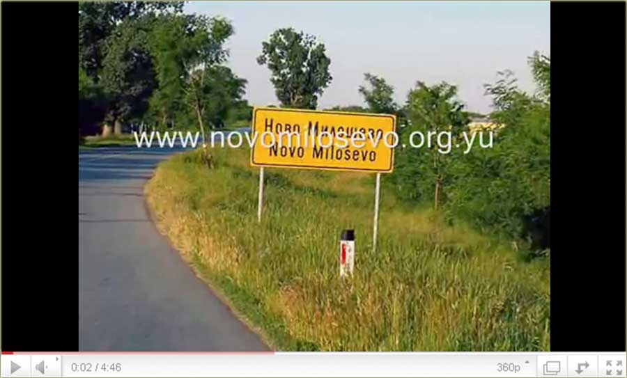 NM in Twin Peaks theme...