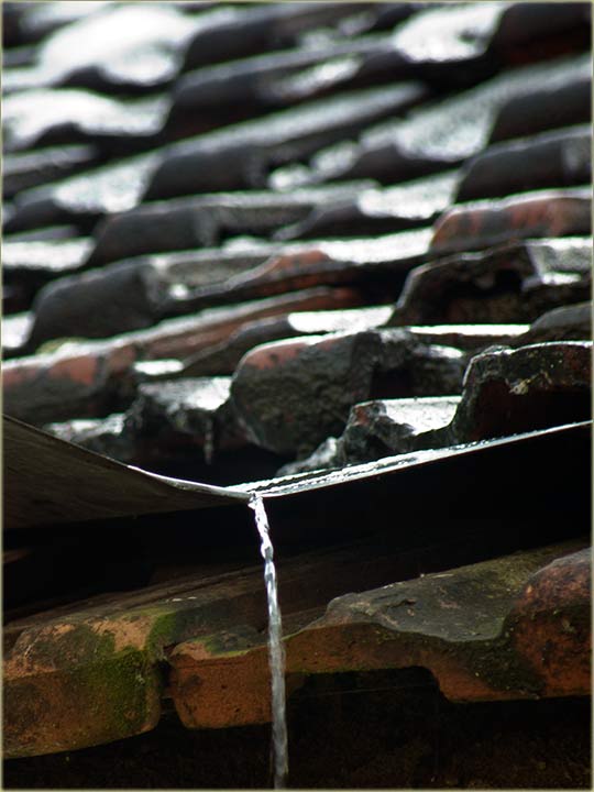 Kolko još ima do proleća I ?