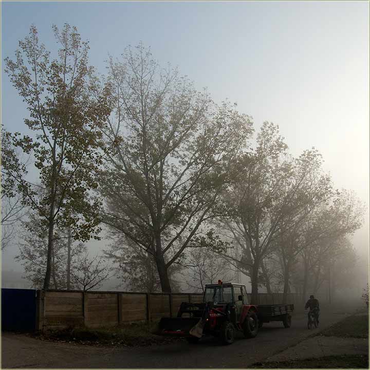 Ćulav Omladinski sokak...