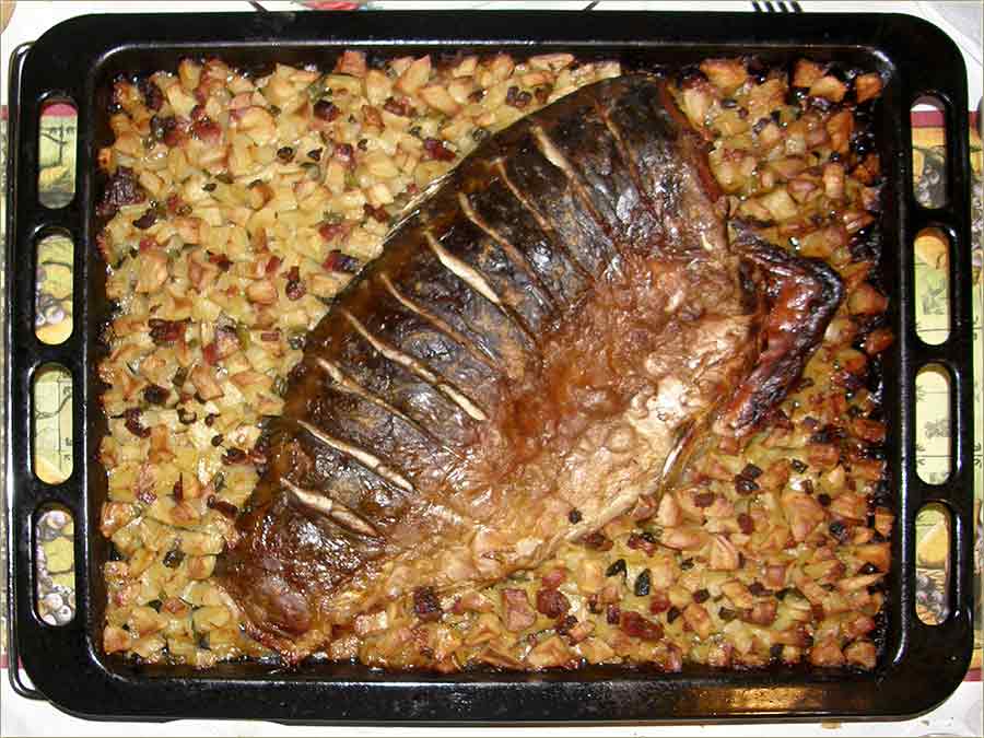 Nîka Cicko - pecaroš iPo !!!