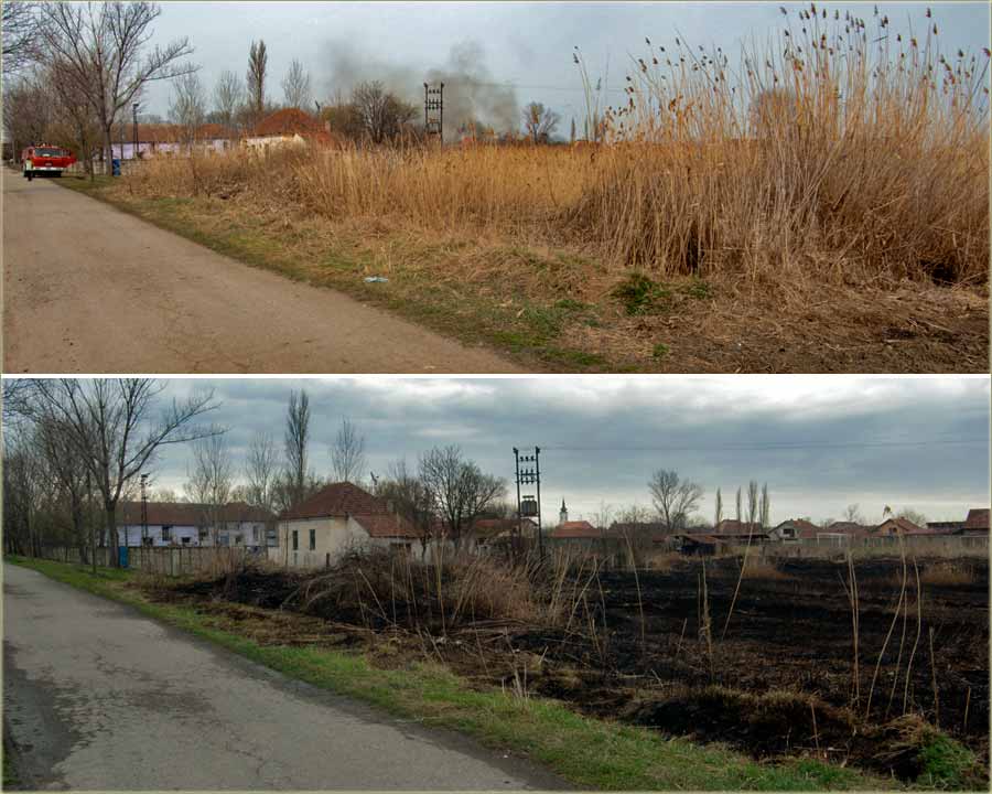 Planirata paljevina u center !!!