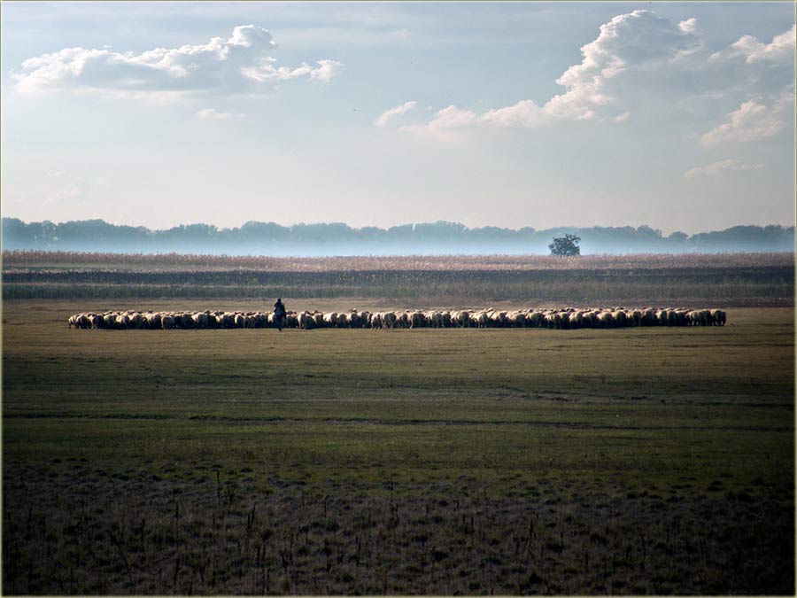 Promena godišnjog doba...