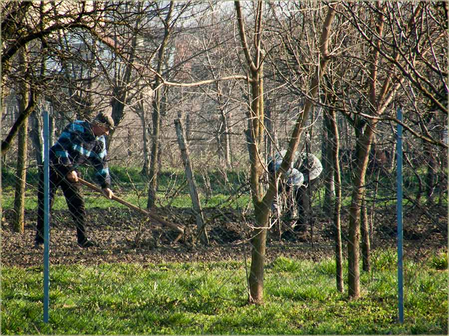 Početak nove sizone...
