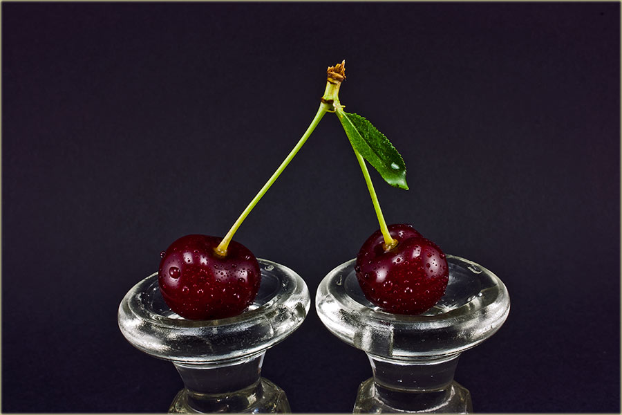 Sizona branja višanja...