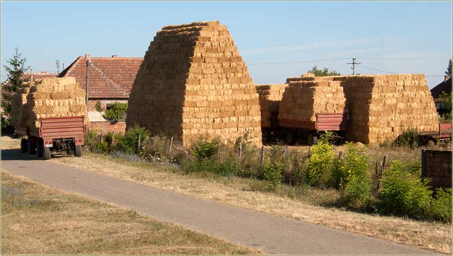 Bale, voz i kamare slame...