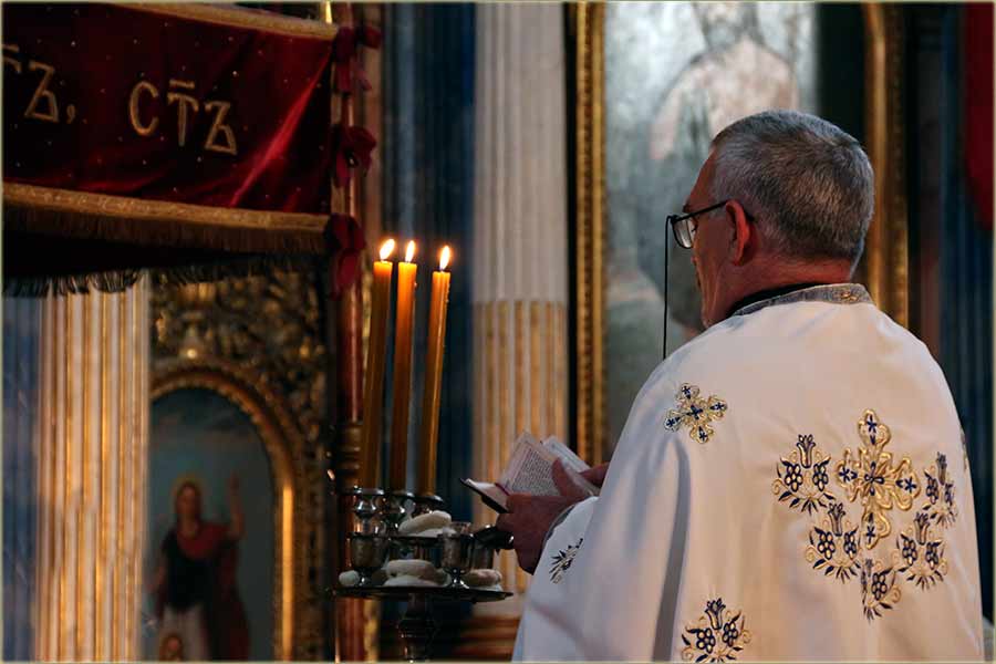 Dani Teodora Pavlovića I ...