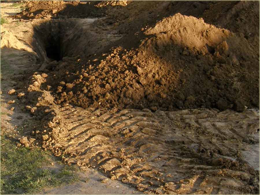 Lek, koji cigurno leči sve bolesti...