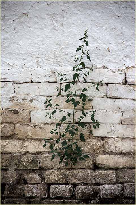 Eto, šta je život !!!