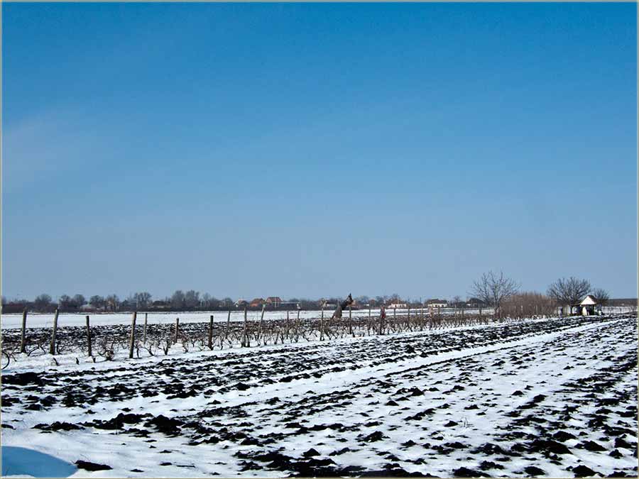 Sneg je kratko trajo...