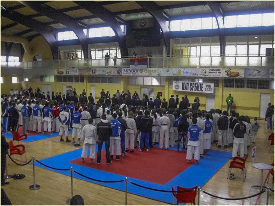 Naši karatisti, su osvojili KUP Srbije !