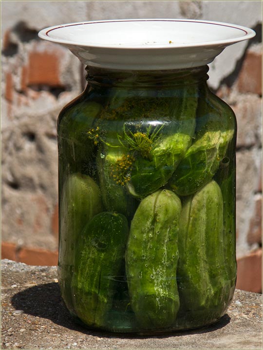 Stâri recepat za kisale krastavce !!!