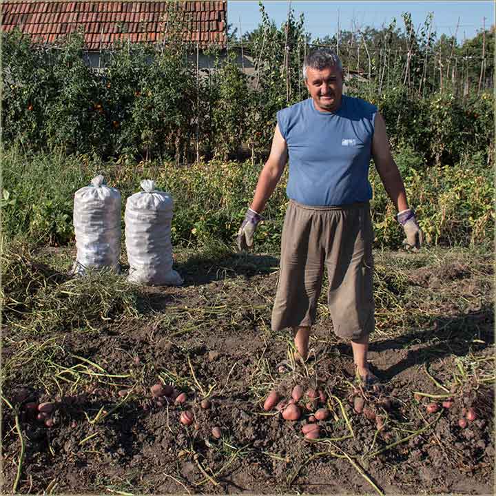 Il pukovnik il pokojnik...