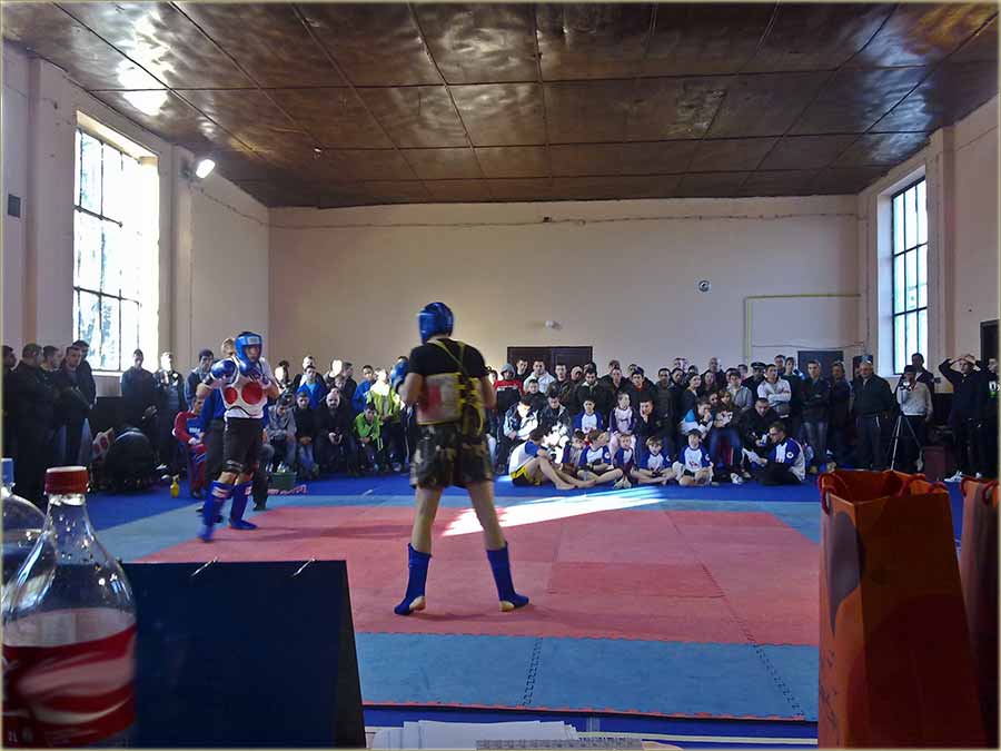 Kup Vojvodine u kung fu-u !!!