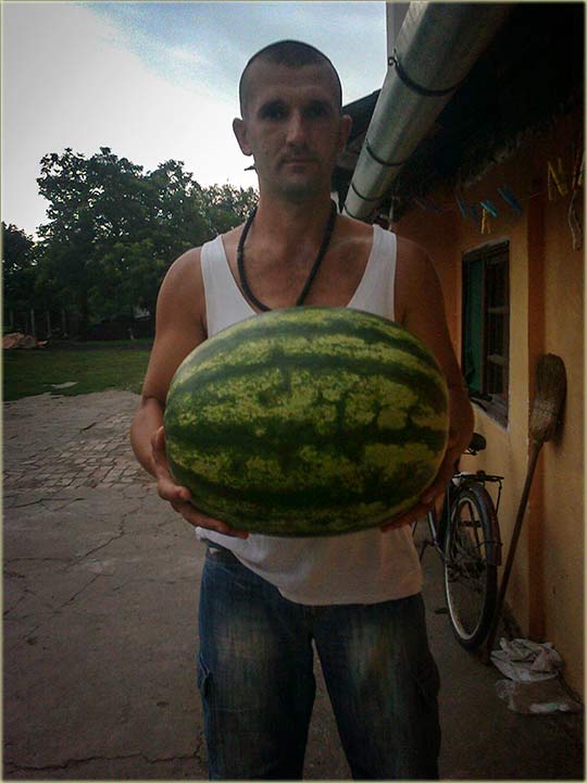 NM-čka, lubenica rekorderka !!!