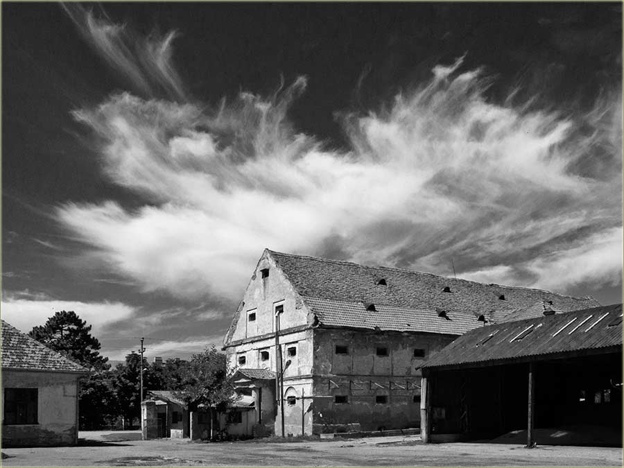 Vicovi o Bosancima, a u ZZ Miloševo...
