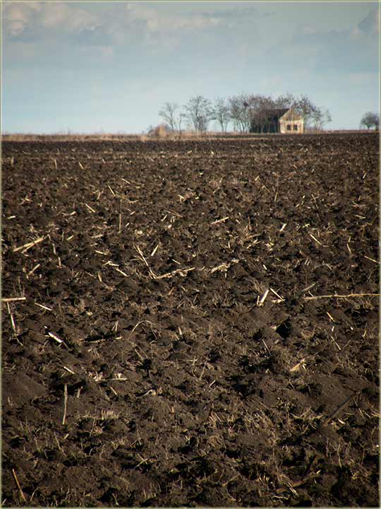 Miris, banatcke zemlje...