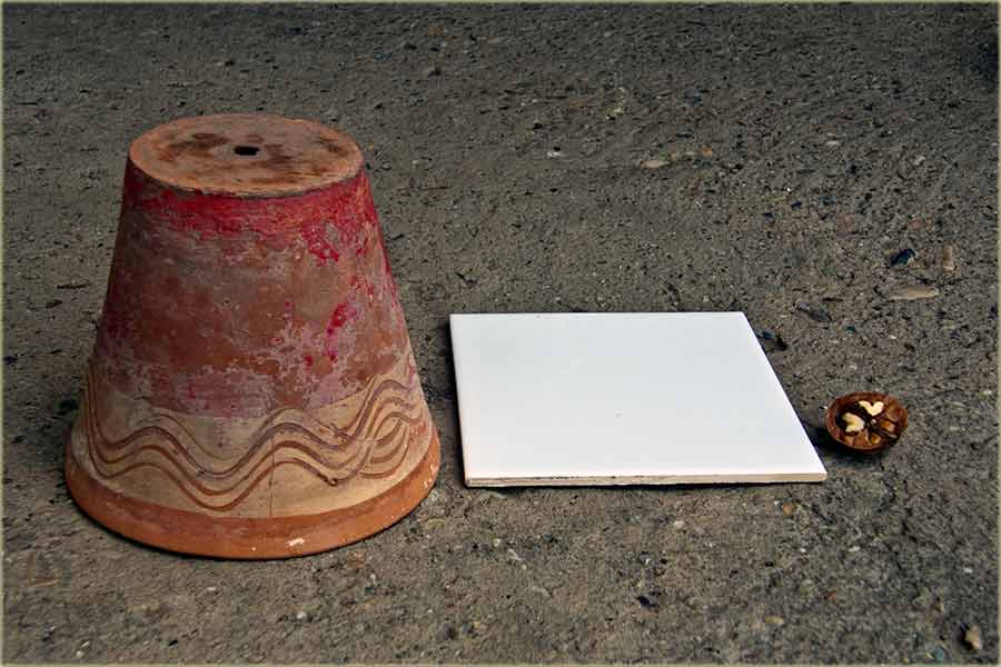 Zamka za mišove i mišice...